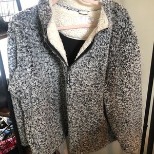 Black and white Sherpa